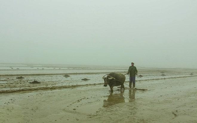 Dịch tiếng Nghệ An Hà Tĩnh: 15 từ thường gặp nhất