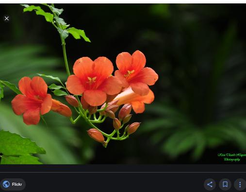 Cựu SV 2 Khóa LƯƠNG VĂN CAN (69-73) & HUỲNH THÚC KHÁNG (70-74) – ĐHSP HUẾ