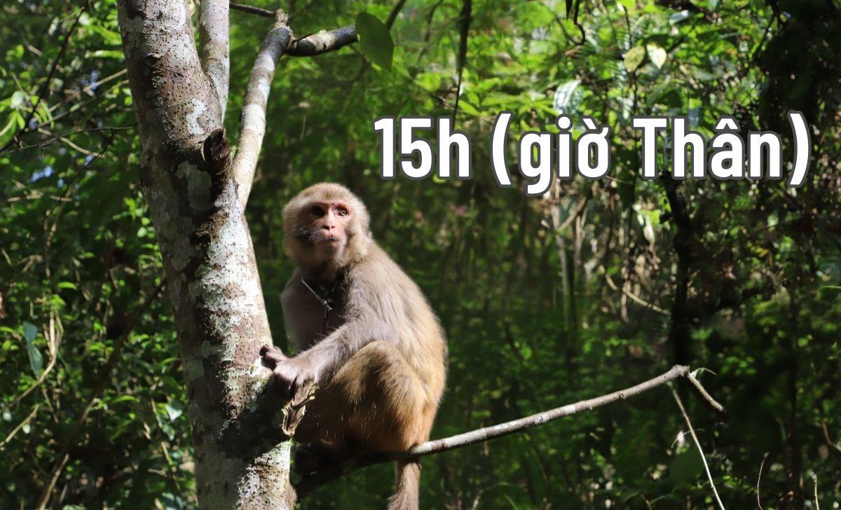 15h là giờ gì? Nên và không nên làm gì lúc 15 giờ chiều?