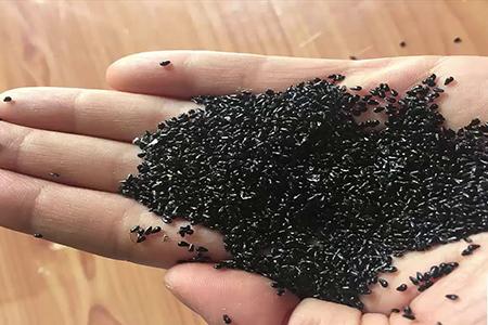 Hỏi đáp về trồng cây thanh long theo phương pháp mới (kỳ 12)