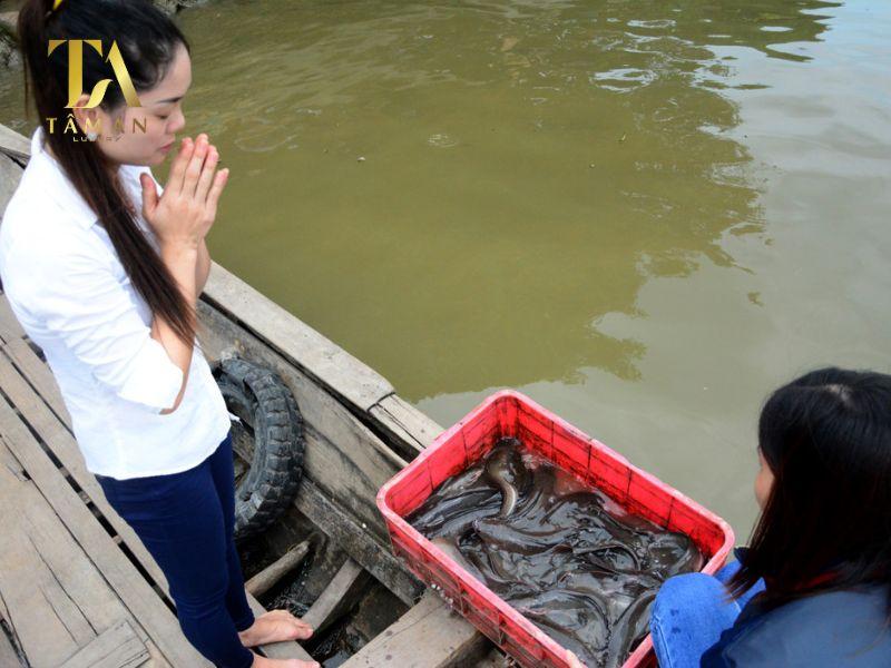 Hướng Dẫn Đọc Văn Khấn Phóng Sinh Đơn Giản, Dễ Hiểu