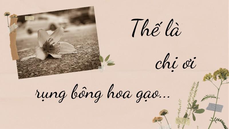 Thế là chị ơi rụng bông hoa gạo…