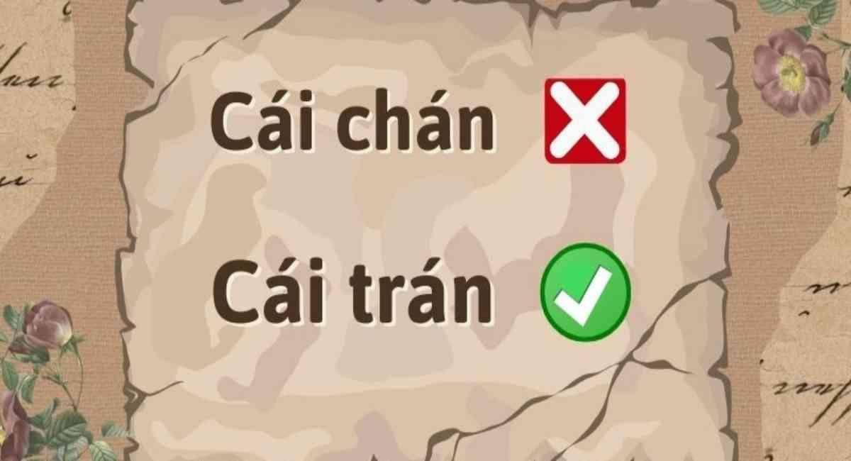 Cái trán hay cái chán? Từ nào mới là chính xác nhất?