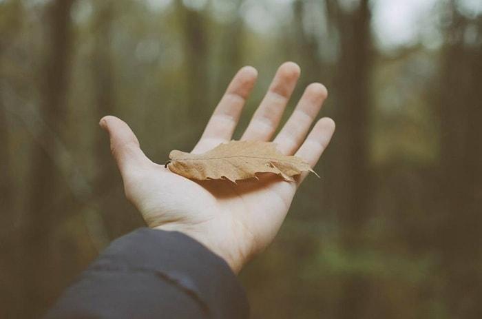 nhung cau noi hay ve buong bo de cuoc song an nhien hinh 1