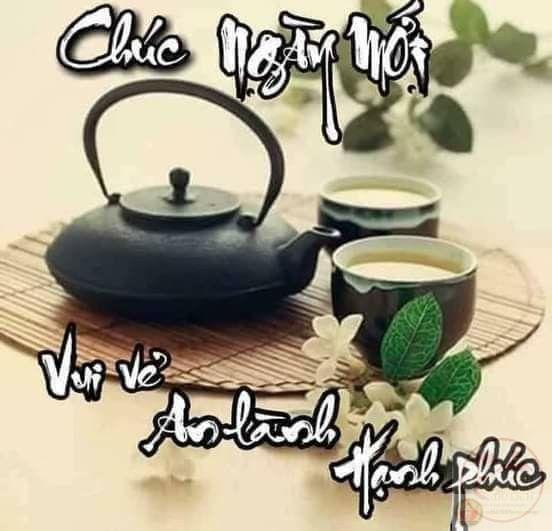 Meme chào ngày mới cute thường được dùng để troll bạn bè vào buổi sáng