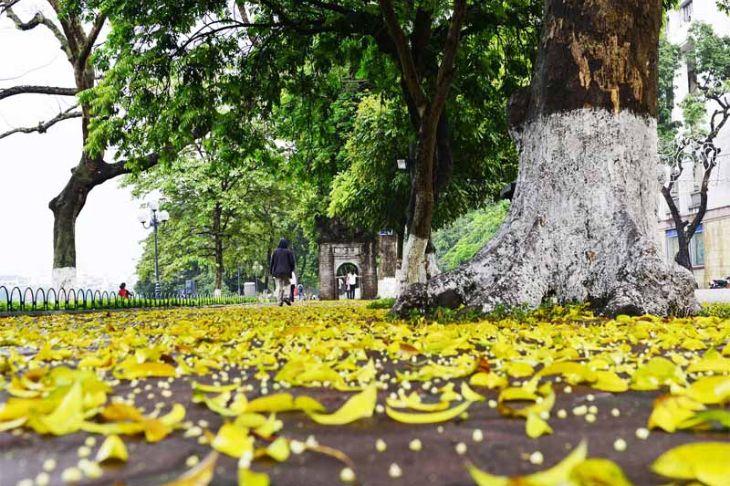Những Con Đường Đẹp Nhất Vào Mùa Thu Hà Nội