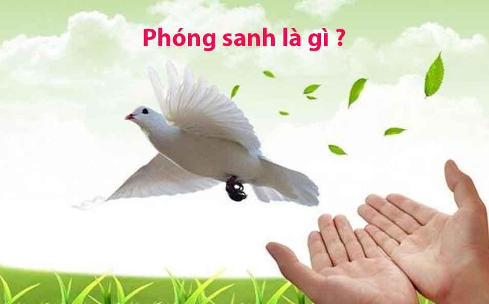 Bài văn khấn phóng sinh thả cá, ốc, ếch, rùa ngoài trời.