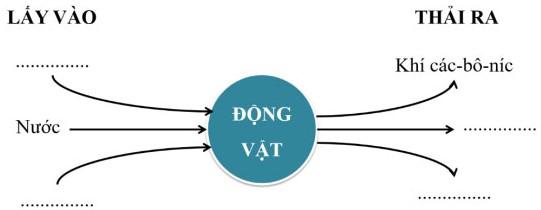 Đề thi học kì 1 Khoa học lớp 4 năm 2024-2025