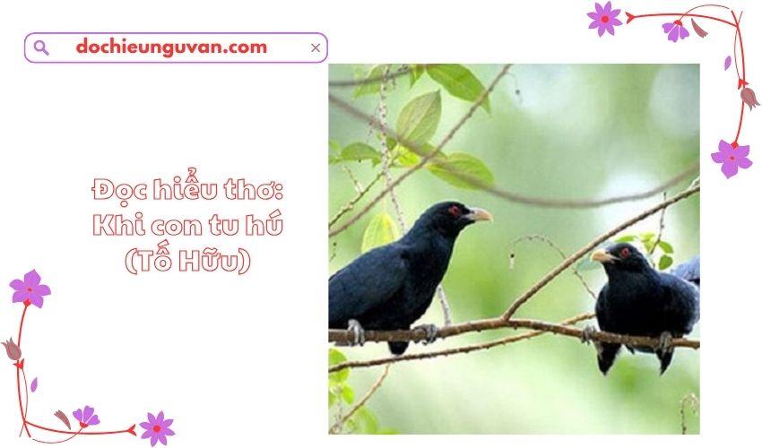 Đọc hiểu thơ: Khi con tu hú (Tố Hữu)