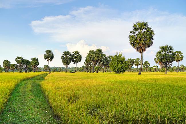 Việt Nam đất nước ta ơi đọc hiểu