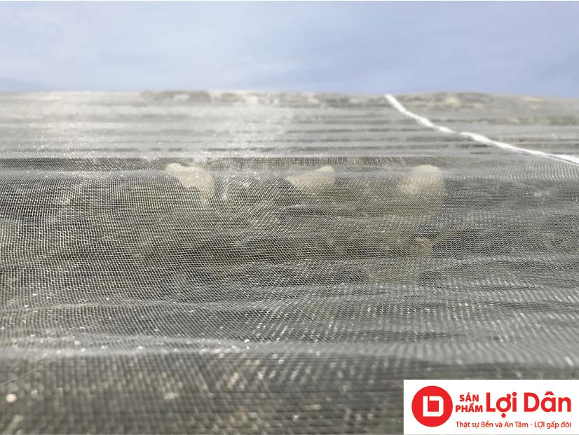 Dây Giăng Giàn – Dây Căng Nhựa