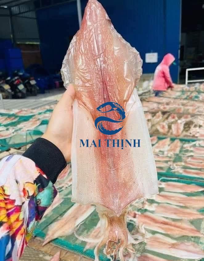 Về với gió Lào cát trắng là không quên ăn mực một nắng Quảng Bình