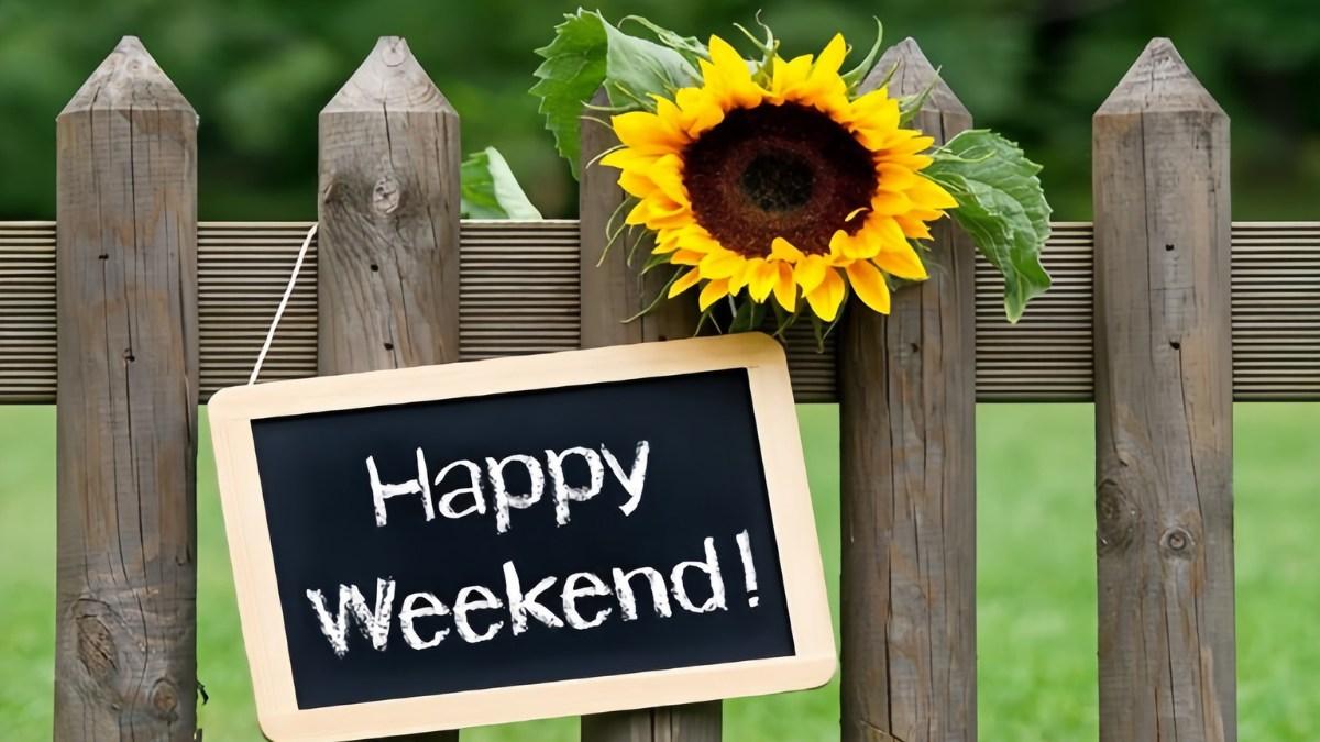 Lời chúc cuối tuần năng lượng, vui vẻ, hài hước