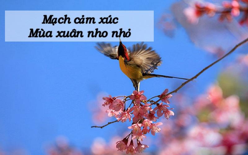 Mạch cảm xúc Mùa xuân nho nhỏ là gì?