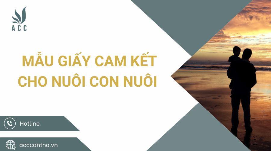 Mẫu giấy cam kết cho nuôi con nuôi