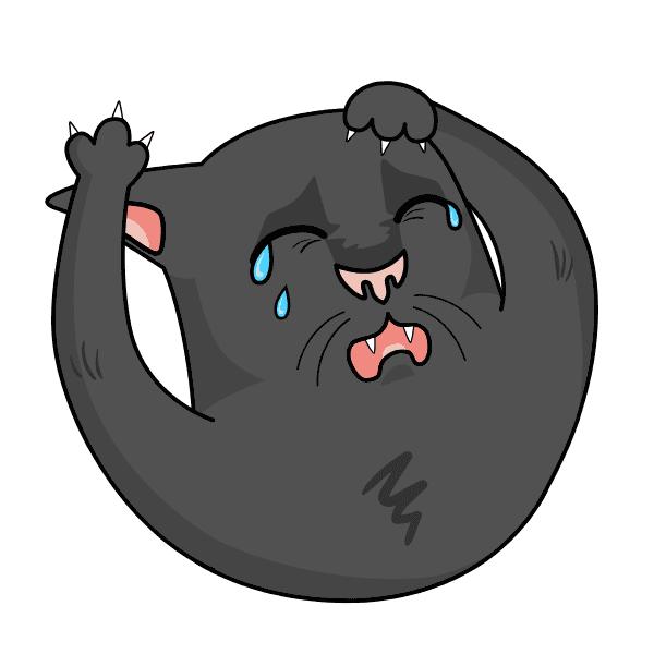 Ảnh meme mèo khóc​ với biểu cảm thảm thiết - Cười ra nước mắt!