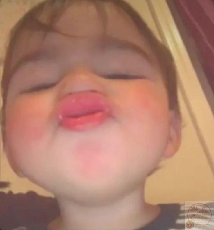 Meme chu mỏ: 180+ ảnh thả tim, hôn, mèo khỉ vịt cực dễ thương