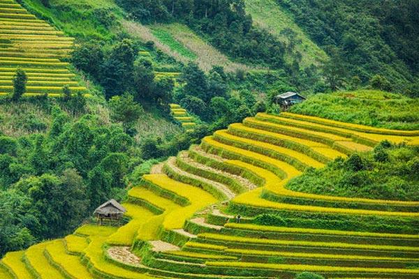 Mở bài và kết bài Việt Bắc của Tố Hữu