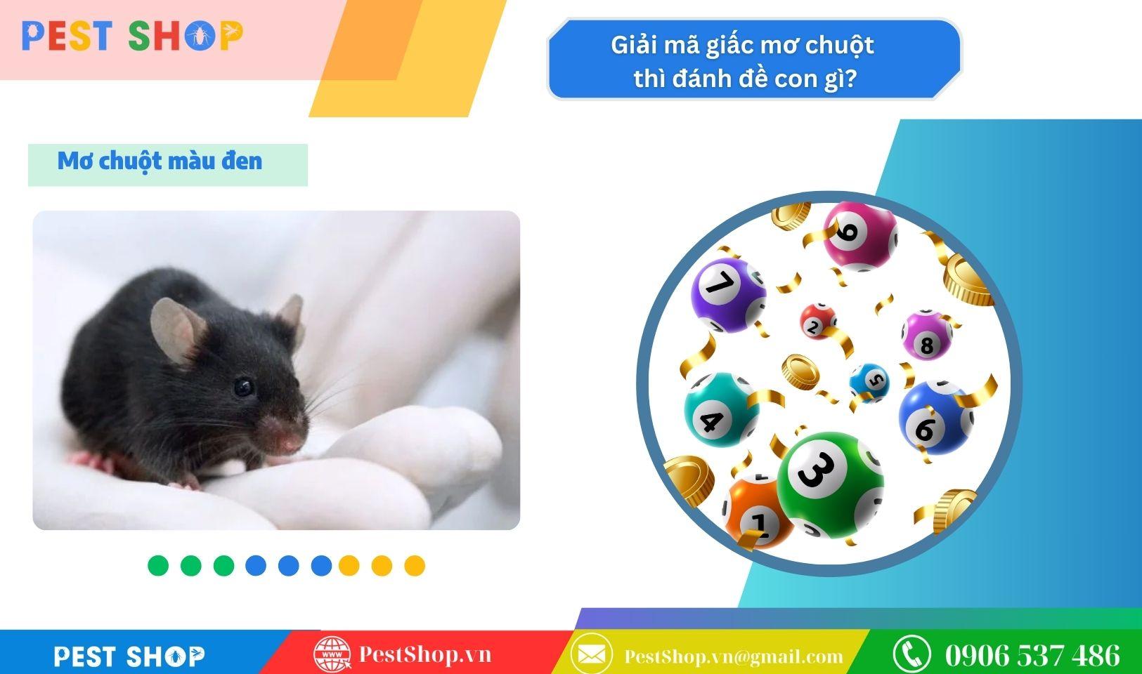 Năm mơ thấy con chuột thì đánh đề con gì? Số nào ăn?