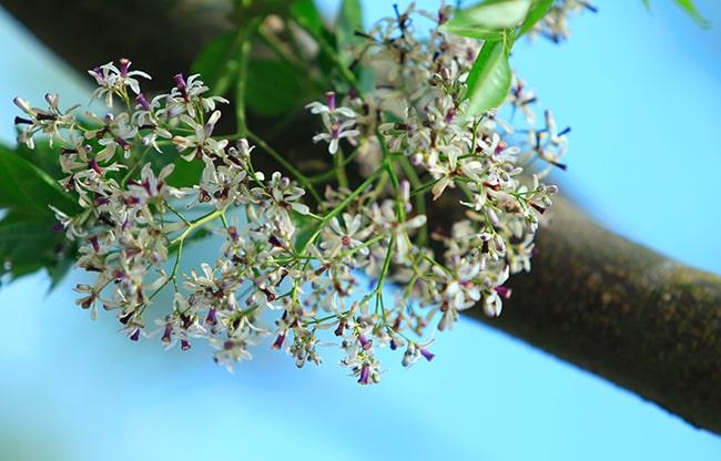 Đọc hiểu Mộ xuân tức sự (2 đề)