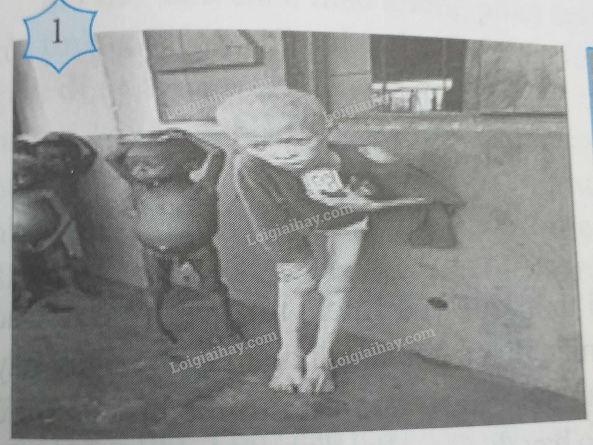 Đề thi học kì 1 Văn 7 Cánh diều - Đề số 13