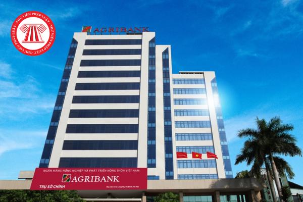 Giờ làm việc Ngân hàng Agribank 2025 như thế nào? Agribank có phải ngân hàng nhà nước không?
