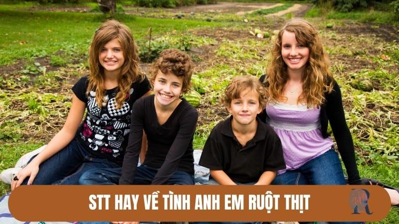 Sưu tầm 99+ stt hay về anh em ruột thịt ý nghĩa nhất