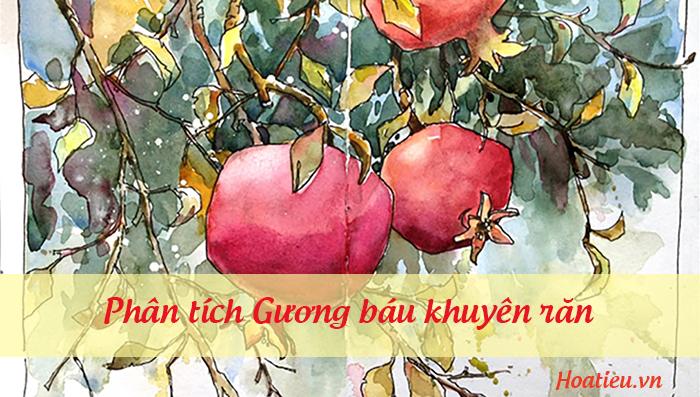 Phân tích Gương báu khuyên răn hay nhất