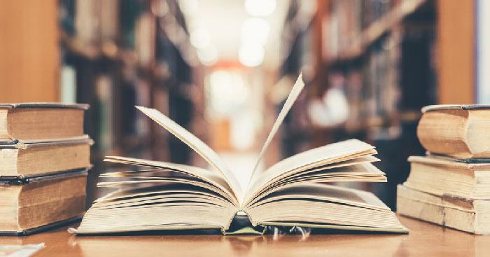 Viết bài văn phân tích một tác phẩm văn học (thơ trào phúng)                                   Dàn ý & 16 bài văn mẫu lớp 8