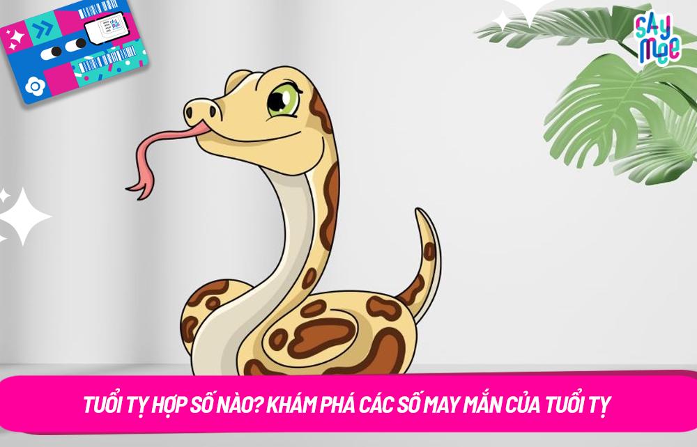 Tuổi Tỵ hợp số nào? Khám phá các số may mắn của tuổi Tỵ