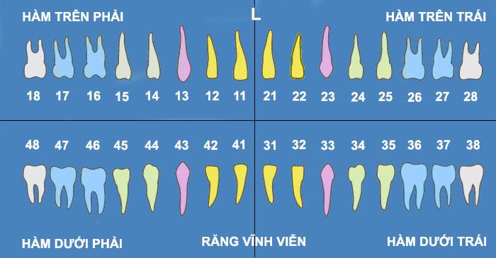 Nhổ răng số 18 – Kinh nghiệm nhổ răng an toàn, không đau nhức