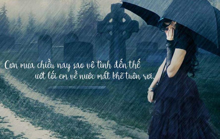 +7700 STT Ngày Mưa Cực Tâm Trạng, STT Mưa Với Hàng Ngàn Lượt Like