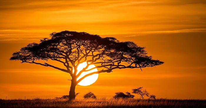 Những câu status hoàng hôn buồn tâm trạng