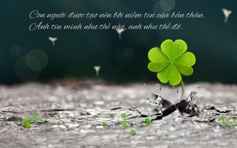Những câu nói hay về niềm tin trong tình yêu và cuộc sống