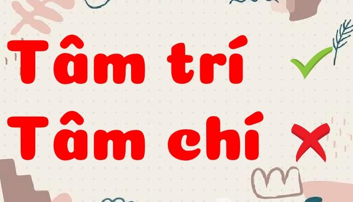 Tâm trí hay tâm chí là đúng chính tả?