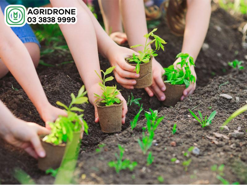 Đất trồng là gì? Tìm hiểu về khái niệm đất trồng