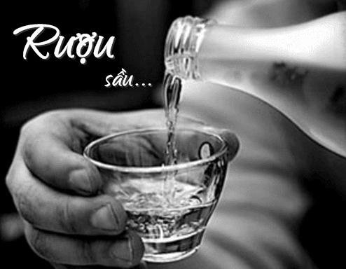 Tuyển tập những bài thơ về rượu hay nhất