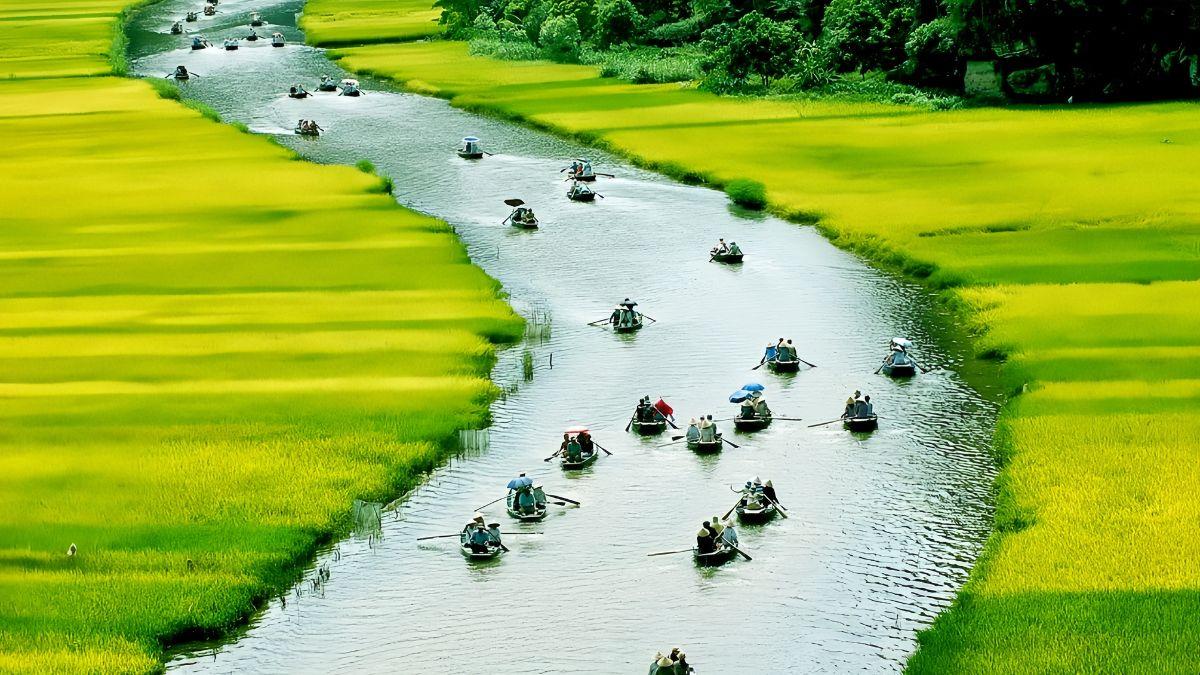 Tuyển chọn các bài thơ về quê hương Việt Nam tươi đẹp