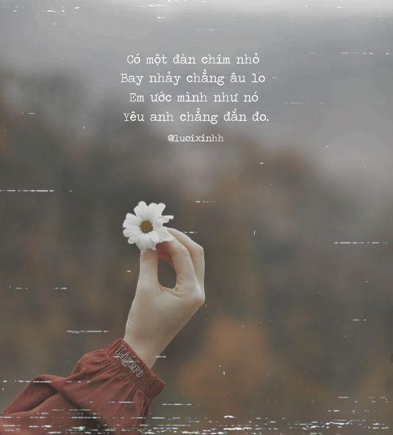 Tổng hợp những bài thơ tình yêu lãng mạn nhất