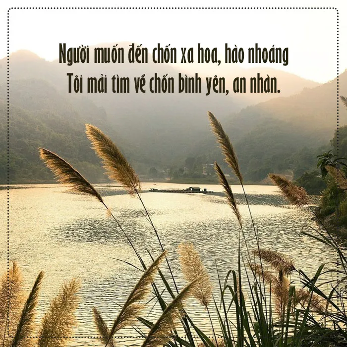 Tuyển tập thơ an nhiên "thổi bay" mọi ưu phiền