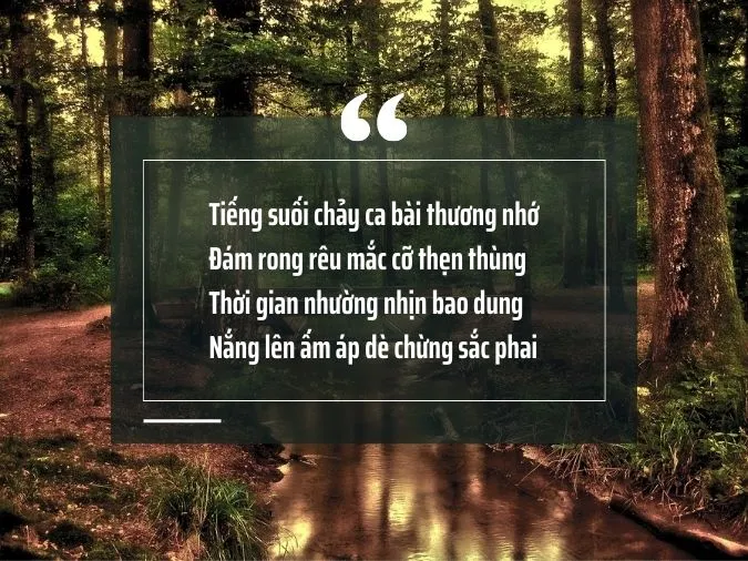 35 bài thơ về suối rừng nuôi dưỡng tâm hồn, tình yêu quê hương