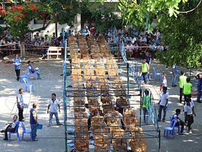 Hội thi Tiếng hót chim chào mào Nha Trang mở rộng