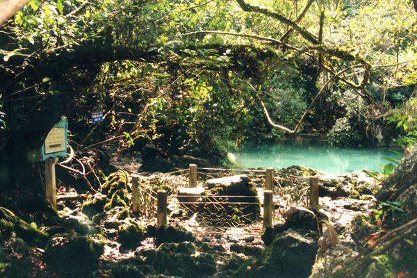 Phân tích bài thơ Tức cảnh Pác Bó của Hồ Chí Minh