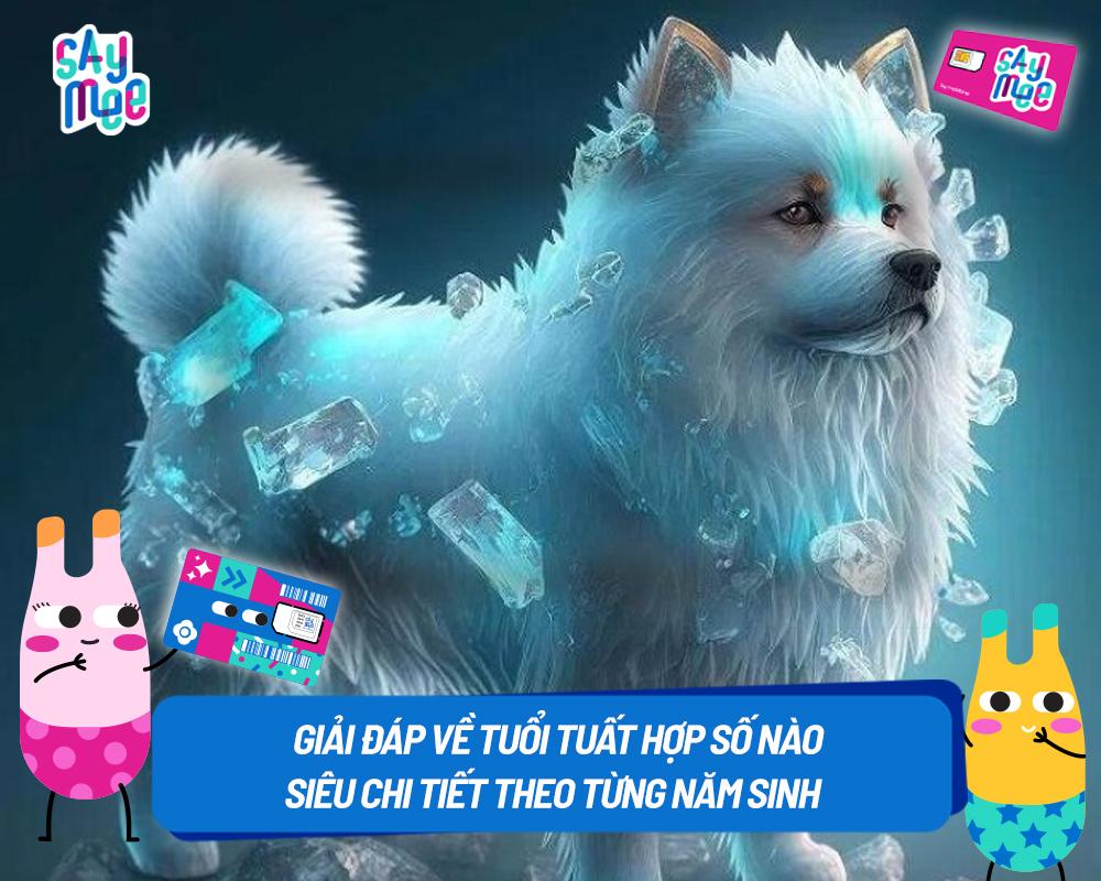 Giải đáp về tuổi Tuất hợp số nào siêu chi tiết theo từng năm sinh