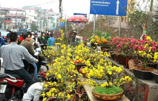 Tả cảnh sinh hoạt ngày Tết lớp 6 Hay nhất (13 mẫu)