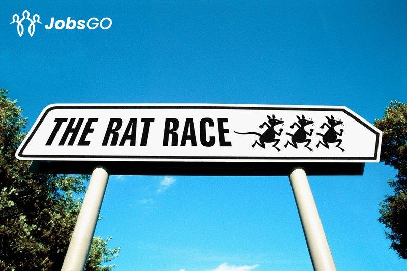Rat Race Là Gì? 11 Cách Hữu Hiệu Nhất Để Thoát Khỏi Đường Đua Rat Race