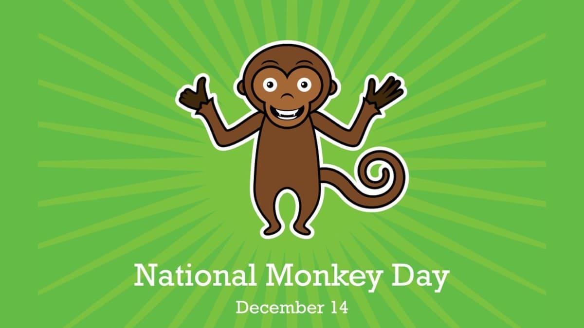 Ngày 14/12 là ngày gì?