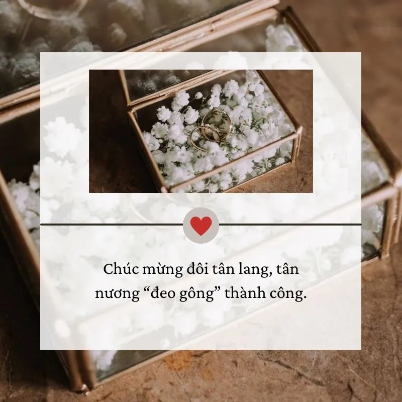 stt-di-an-cuoi-hai-huoc-voh