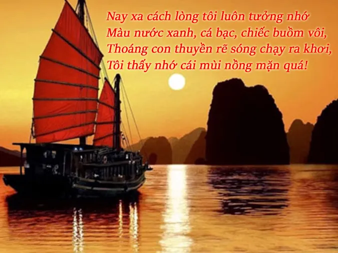 20 bài thơ 8 chữ làm xao động lòng người