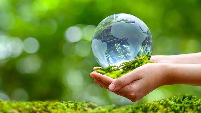 50 câu nói hay về bảo vệ môi trường, khẩu hiệu bảo vệ môi trường truyền động lực